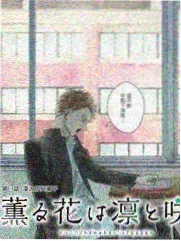 星空电影完整版-一起露营吧